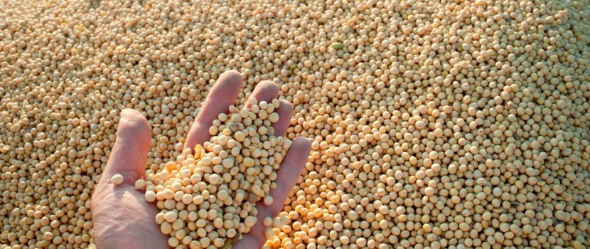 Brasil fecha 2021 com recorde de exportação de soja, apesar dos desafios