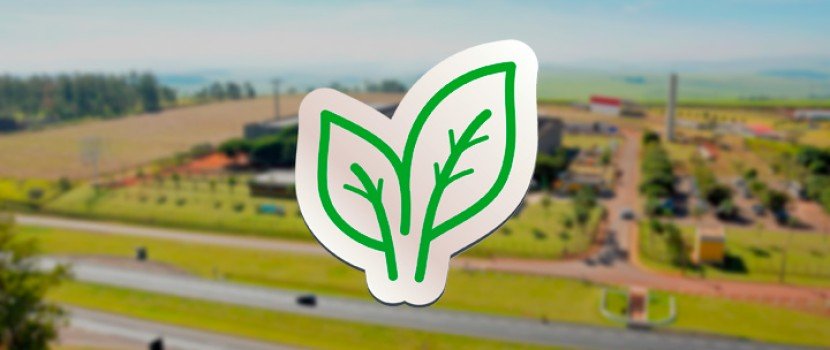 Sustentabilidade empresarial: 10 práticas que fazem a diferença